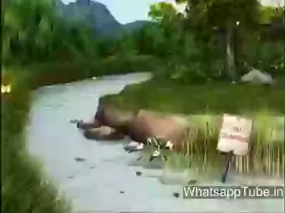 Pollution Do Not Affect You