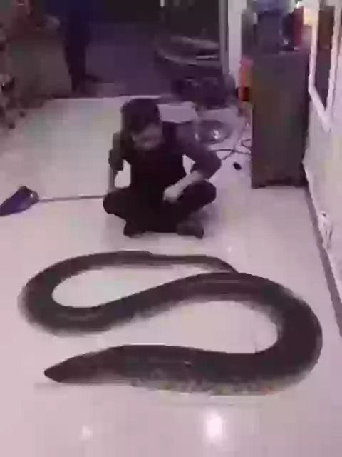 Chota Packet Bada Dhamaka Funny Whatsapp Video