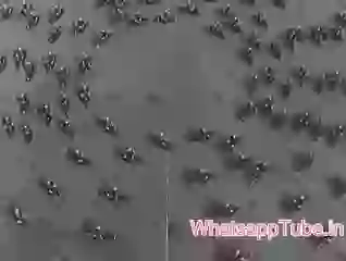 ROME Police Hold Anniversary