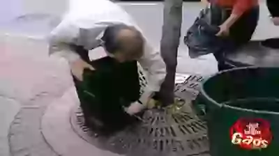 RUN RUN RUN Funny Gags video