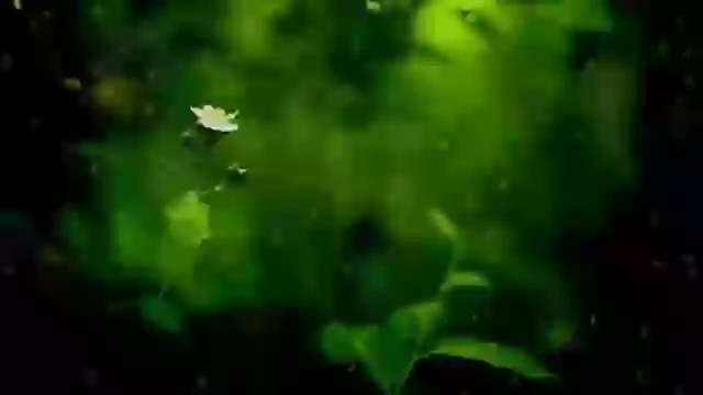 Happy Rath Yatra Wish Status GIF Download