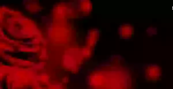 Rose Day Quotes In Hindi Whatsapp Status