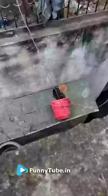 Saved This Cute Little Kitty