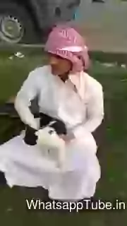 Sekh Using Cat Like Toys