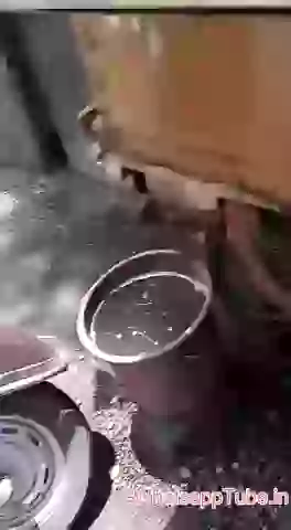 Shame Shame Angry On Little Things