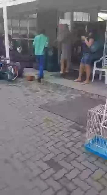 Snake Prank Funny Whatsapp Prank Status