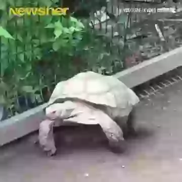 Some Time You Needed Friends