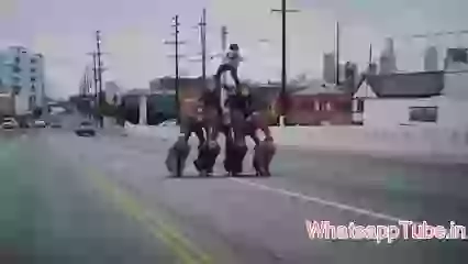Stunt Gone Wrong