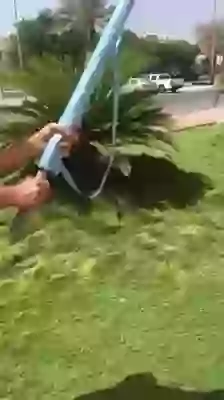 Summer Special Umbrella With Fan Amazing Whatsapp Video