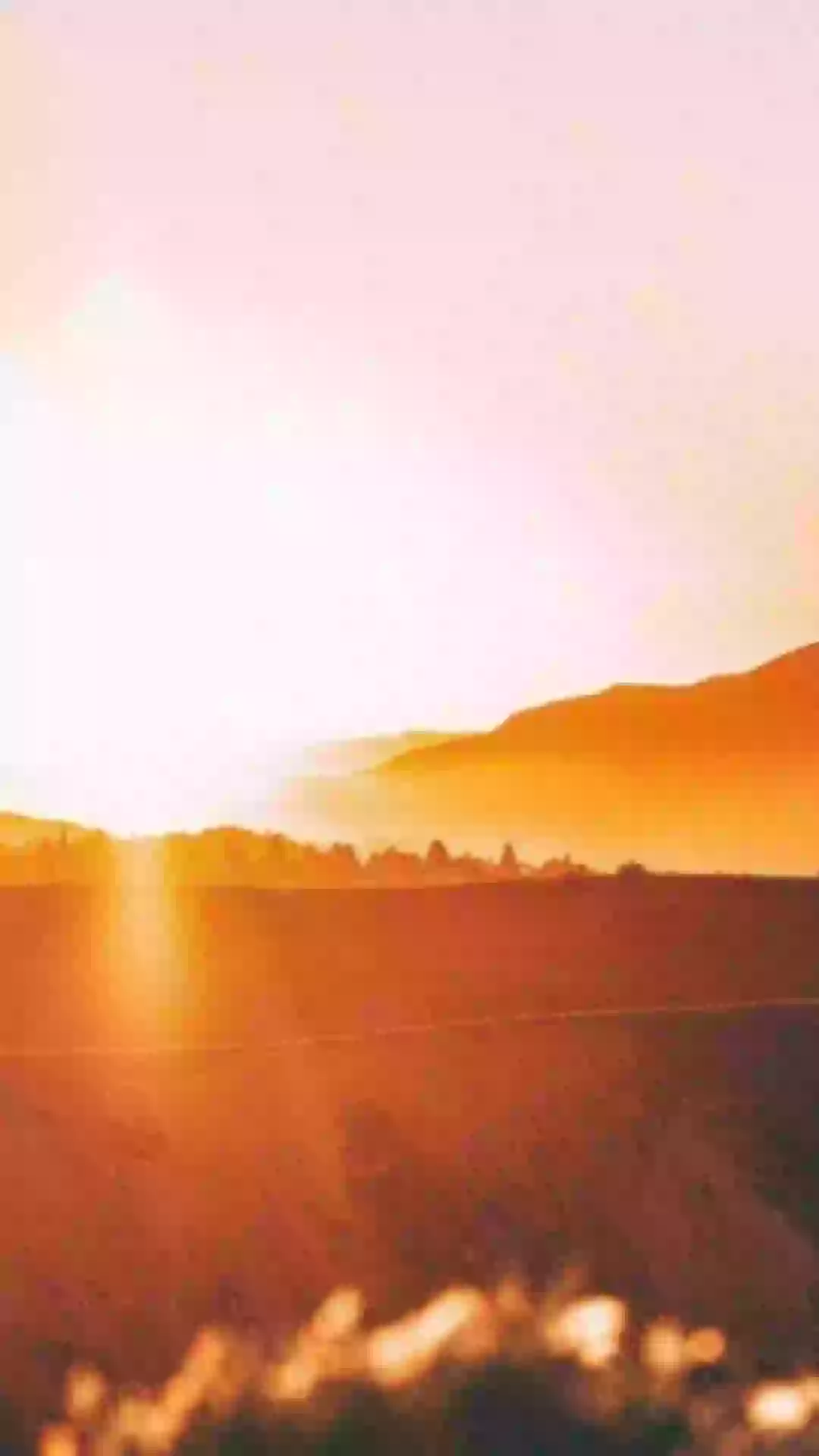 SunShine Quote Good Morning Status Video