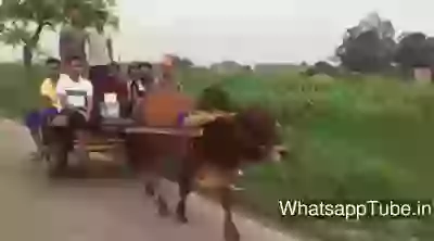 Super fast ambulance in village