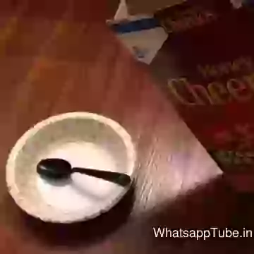 Surprise in my breakfast prank video