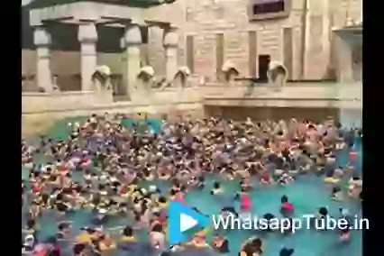 Thats Real Human Waves