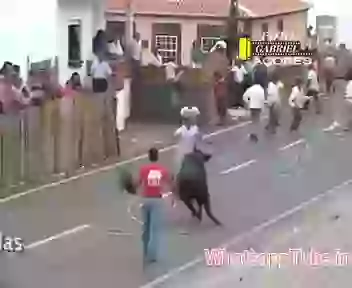 The Bull And Crazy Peoples