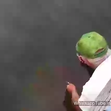 The Fish Whisperer Live