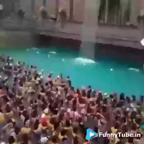 The Massive Human Wave Amazing Video