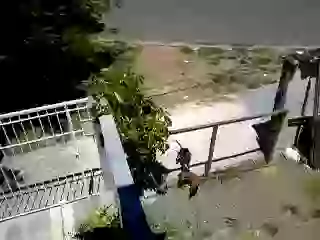 The Proof Of Indian Surgical Strike