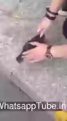 The Real Pearl Video Share