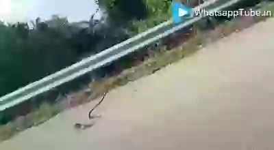 The Strongest Hood Is Motherhood