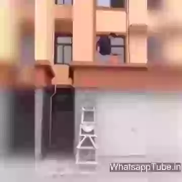 There Is Always 1 Monkey Type Friend