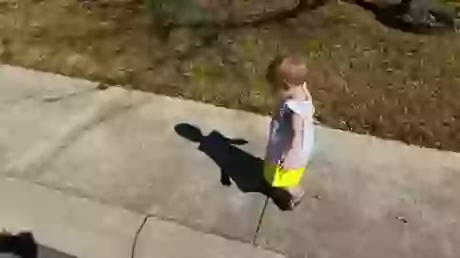 Wait For It Funny GIF Of The Week