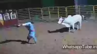 This Is The Real Fear Fighters