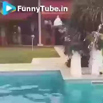 This Waiter Cant Wait