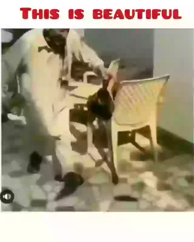 This is So Beautiful Moment