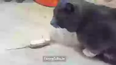 Rani Tu Main Raja Funny And Horrible Raja Ever