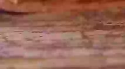 Tree Ganesha Must Follow This