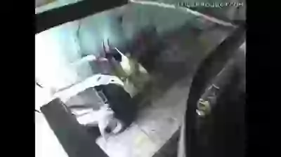 Truth of Hot dog Factories