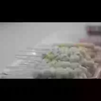 Un catelus inteligent