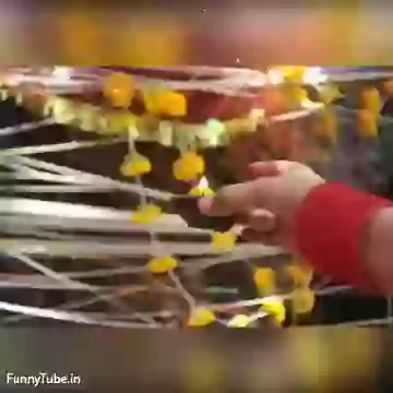 Vat Purnima Wishes Whatsapp Status Video