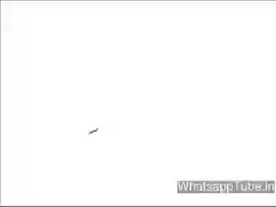 Very Funny Double Meaning Drawing