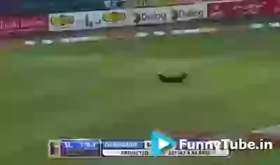 WTF Pakistani cricketers Kameenapan by born