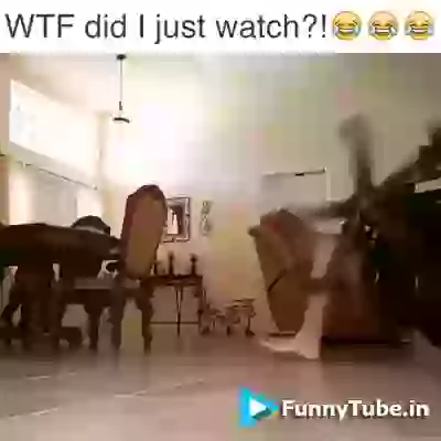 WTF You Will Say After Watching This