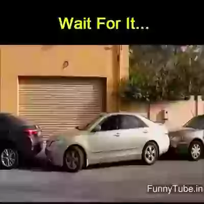 Wait Your Will Fell Like WTF