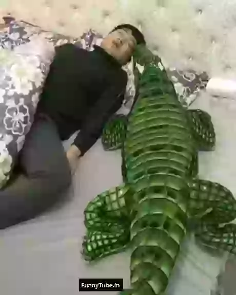 Todays Generation Funny Whatsapp Status GIF