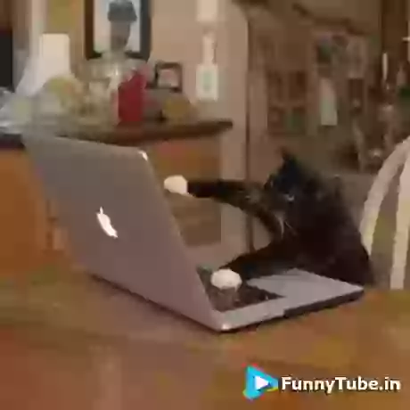 Week Days In Office Funny GIF