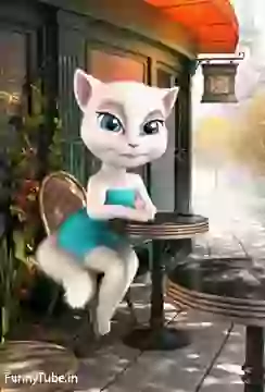 Whatsapp Good Night Status Video