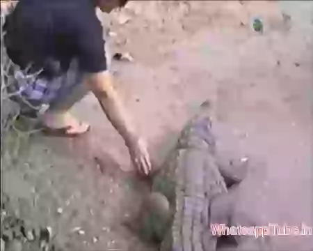 Whatsapptube.in Funny Videos