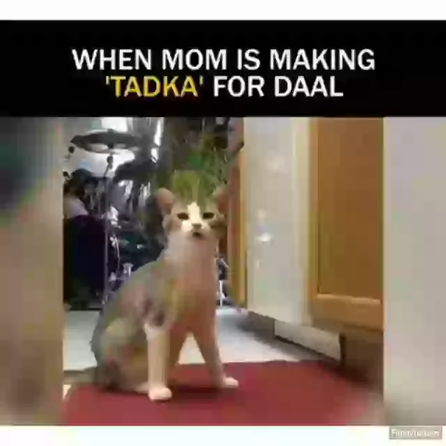 When Mom Is Making Tadka For Daal Funny Video