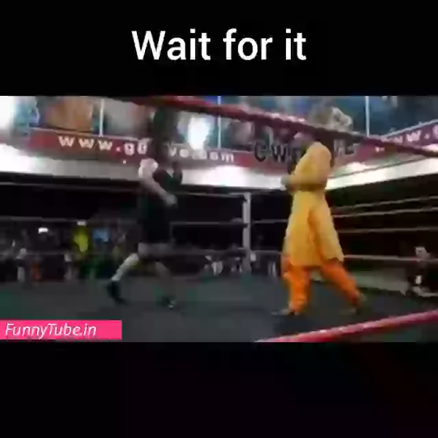 Women Wrestling Funny Whatsapp Video Download
