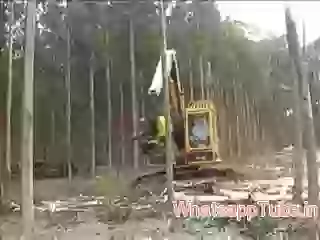 Woodcutter machine
