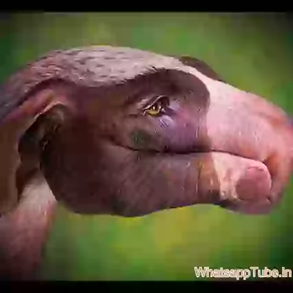 Worlds Top Hands Art Pictures