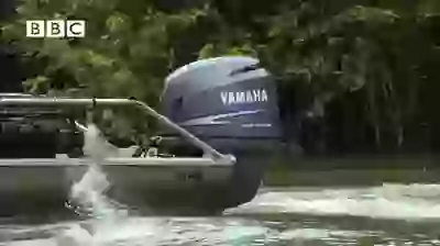 Wow Hillarious Flying Fishes