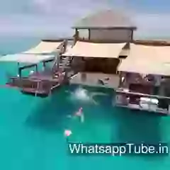 You Will Say WOW Home