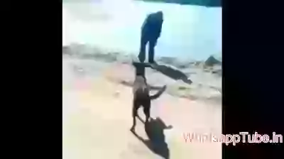 jaisi karni waisi bharni