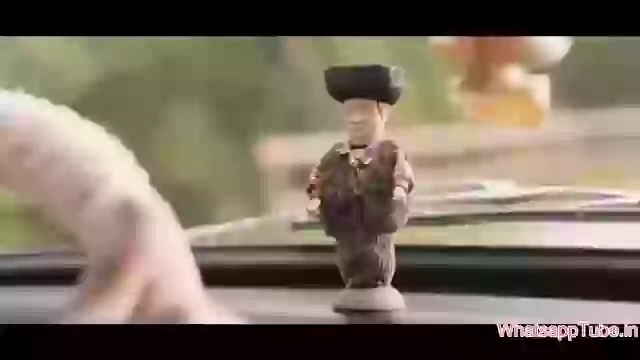 lol Amazing trained animals