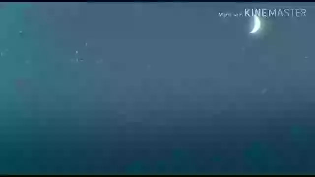 Happy New Year 2020 Whatsapp Status